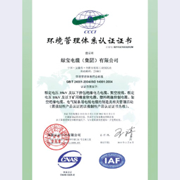 安徽绿宝华体会体育电竞（中国）股份有限公司集团环境体系认证