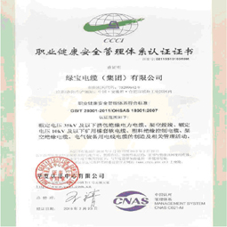 绿宝华体会体育电竞（中国）股份有限公司集团职业健康体系认证