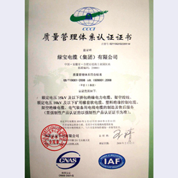 绿宝华体会体育电竞（中国）股份有限公司集团质量体系认证